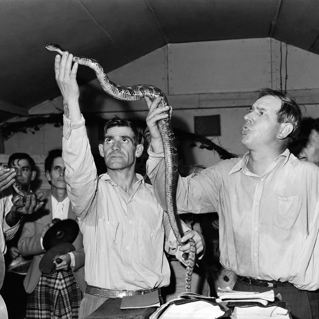 Snake handling at Pentecostal Church of God, Lejunior, Harlan County, Kentucky September 15, 1946