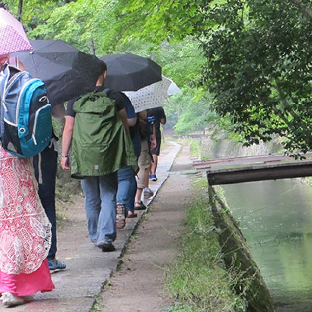 Row of students with umbrellas blocking the sun walking alongside a pond at Tetsugaku-no-Michi in Kyoto, Japan