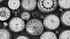 black and white photo of several pocket watches